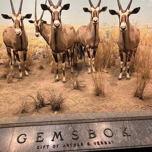 Meet your Posher, Ivory